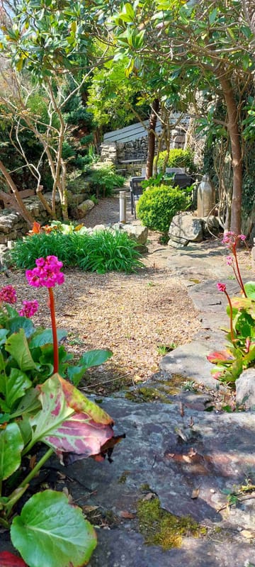 Garden rhododendrons