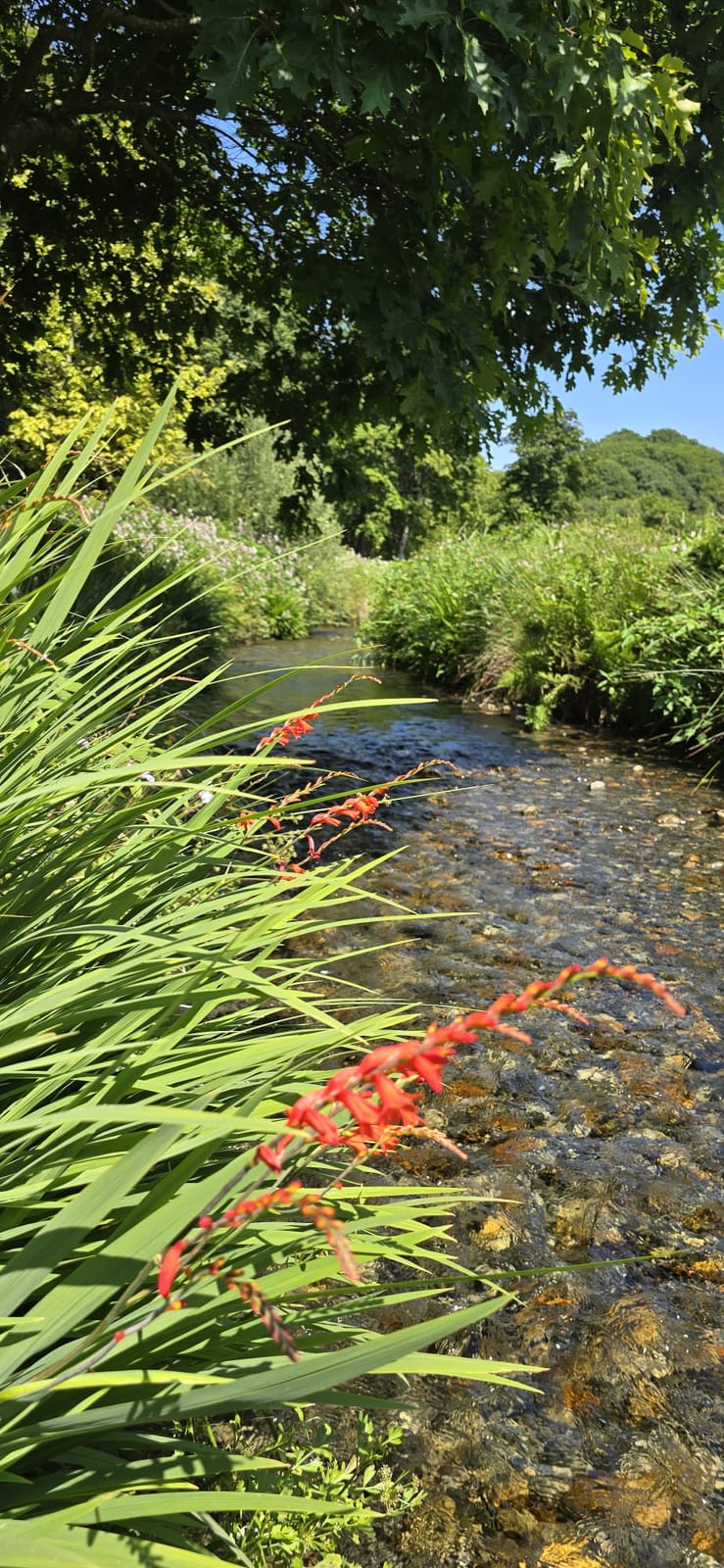 River Artro near Gwynfryn House